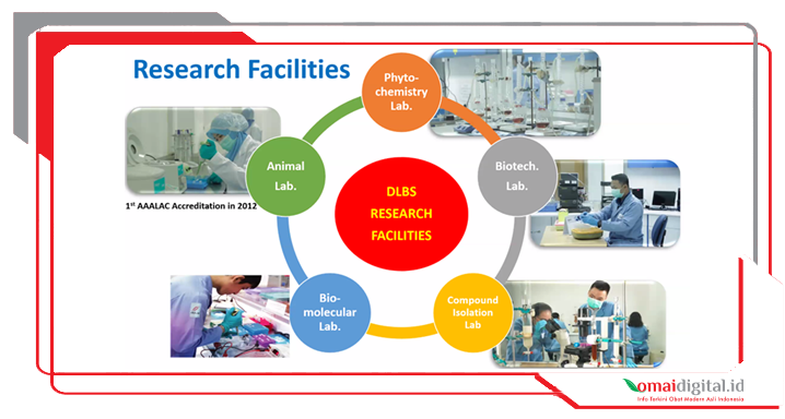 DLBS WHO 2 DLBS WHO 2