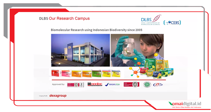 DLBS WHO 3 DLBS WHO 3