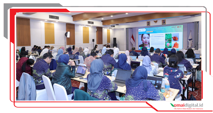 BPOM WHO Farmakovigilans 2